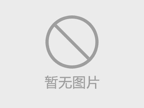定制 弹性缓冲垫联轴器膜片304不锈钢301弹性钢片连轴器叠片组挠性DSJM